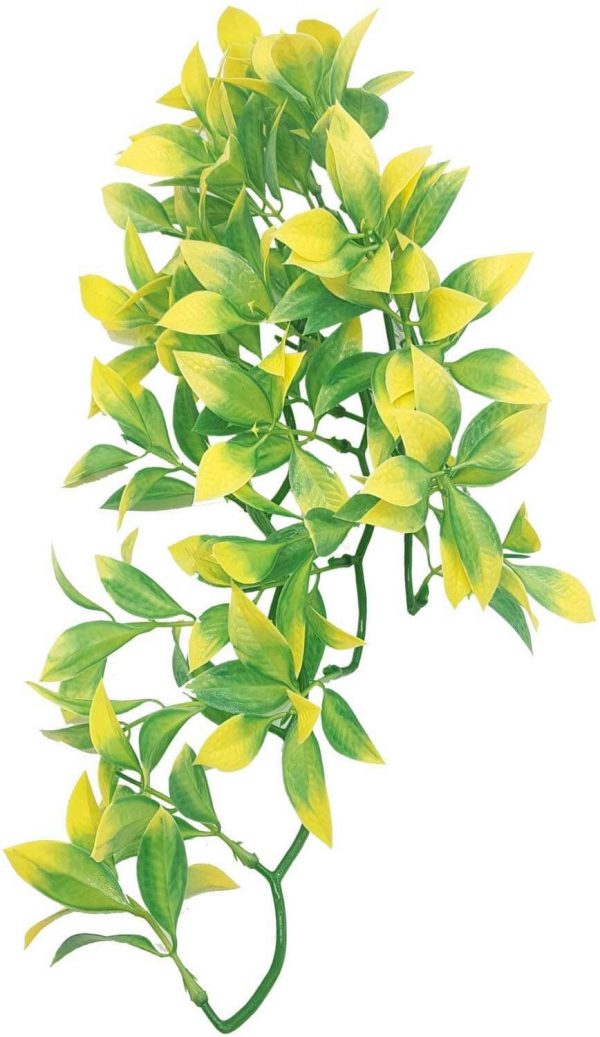 Reptile Plants Terrarium TeenyPet